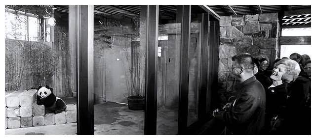 松夫人一盒香烟接着说一番话让她激动不已麻将胡了试玩平台1972年周恩来送尼克(图4)