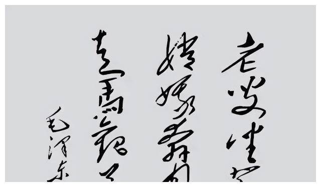 松夫人一盒香烟接着说一番话让她激动不已麻将胡了试玩平台1972年周恩来送尼克(图11)