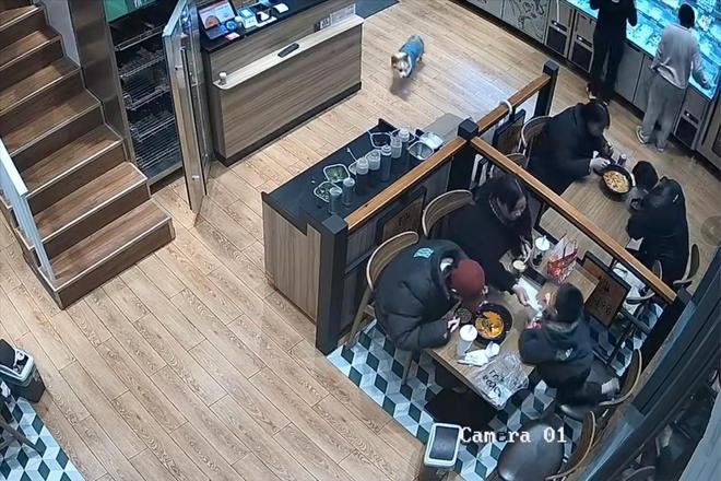 被劝阻后诬陷商家引发网络暴力！麻将胡了2女子吃麻辣烫放狗店内