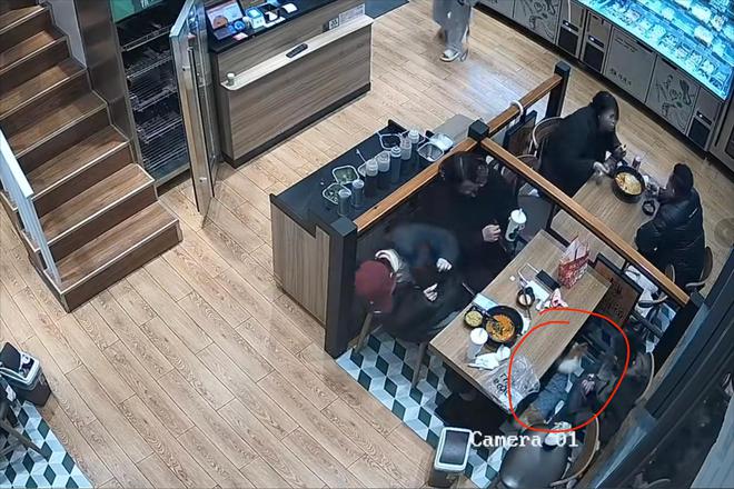 被劝阻后诬陷商家引发网络暴力!麻将胡了2女子吃麻辣烫放狗店内(图7) 被劝阻后诬陷商家引发网络暴力!麻将胡了2女子吃麻辣烫放狗店内(图7)