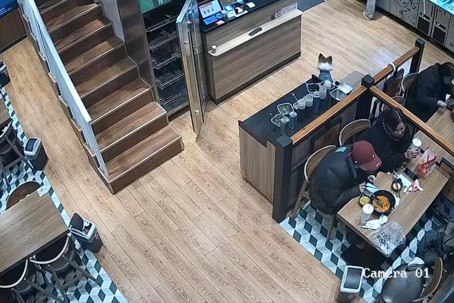 被劝阻后诬陷商家引发网络暴力!麻将胡了2女子吃麻辣烫放狗店内(图9) 被劝阻后诬陷商家引发网络暴力!麻将胡了2女子吃麻辣烫放狗店内(图9)