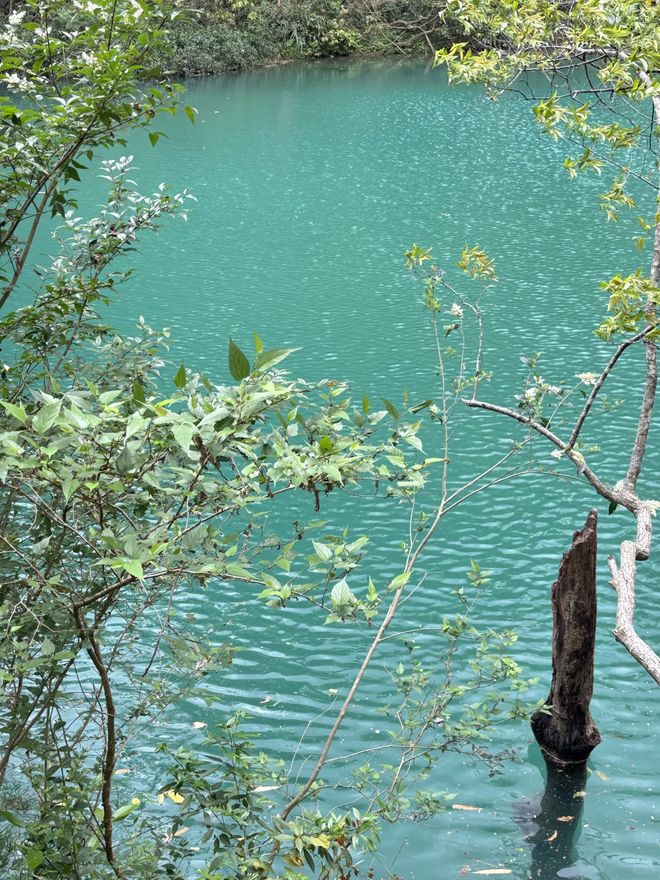 团人均花费贵州6日游不绕路攻略推荐麻将胡了计划去贵州旅游6天5晚跟(图4)