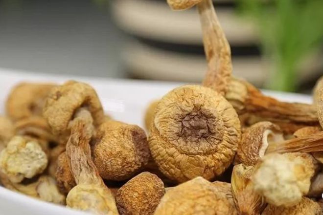 ”！肉质肥厚、香气独特且营养极高咋做好吃麻将胡了2模拟器试玩它被誉为“菌中之王(图12)